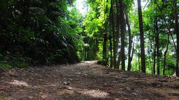 Ngoại thất