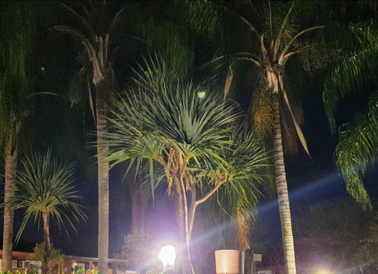 Foto - Palmier Hotel & Convenções