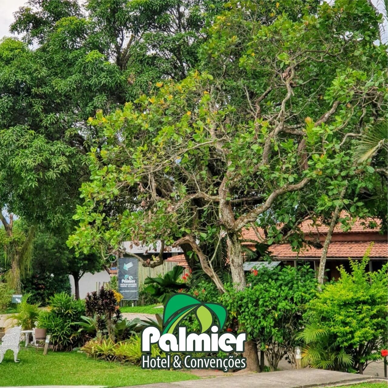Foto - Palmier Hotel & Convenções