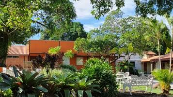 A garden area with a variety of plants and a white bench.