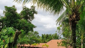 Un resort tropical con un patio cubierto, exuberante follaje y una palmera.