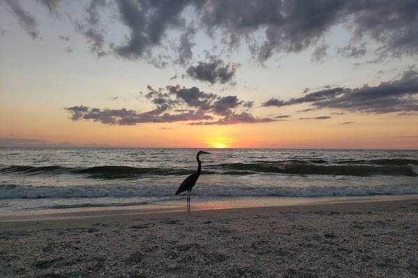 Am Strand, Liegestühle, Strandtücher