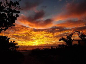 Accommodatie ligt op het strand, ligstoelen, strandlakens