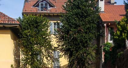 Casa Araucana - WelcHome