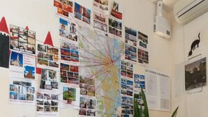 A wall with a map and photos, a potted plant, and a metal rack. - Day & Night - Hostel (Odesa)