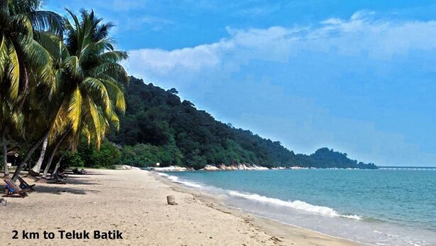 A beach with palm trees and a forested hill in the background. - Lumut Cube Homestay Kontena (Lumut)