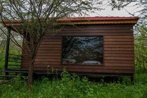 Panoramic Cabin, 3 Single Beds, Accessible, Garden View - Jordan EcoPark (Waqqas)
