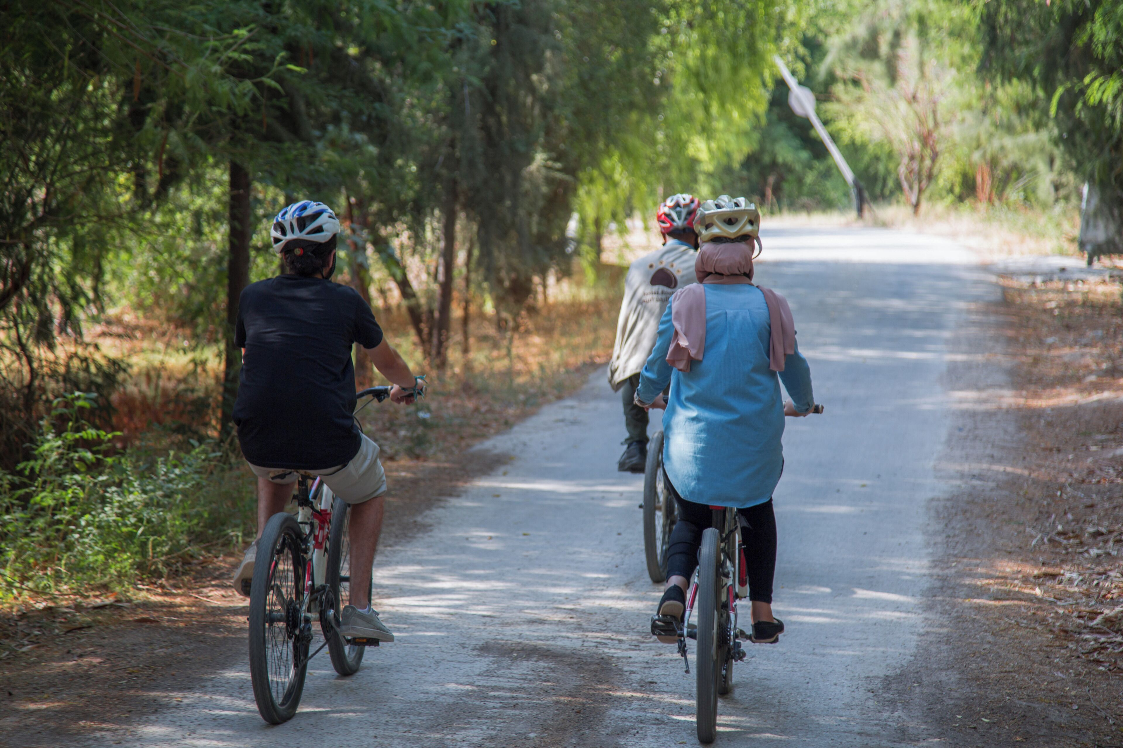 Three cyclists on a narrow, tree-lined road.