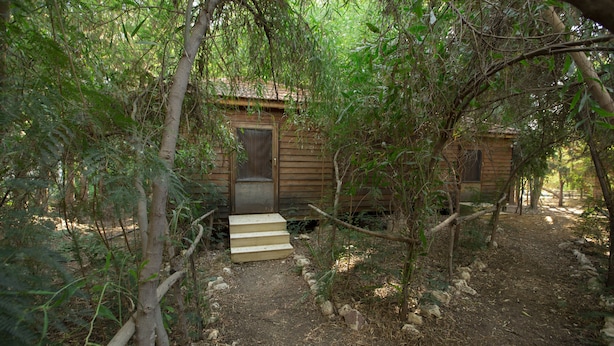 A rustic cabin with a wooden door and a small set of steps leading up to it, surrounded by dense foliage and a dirt path.