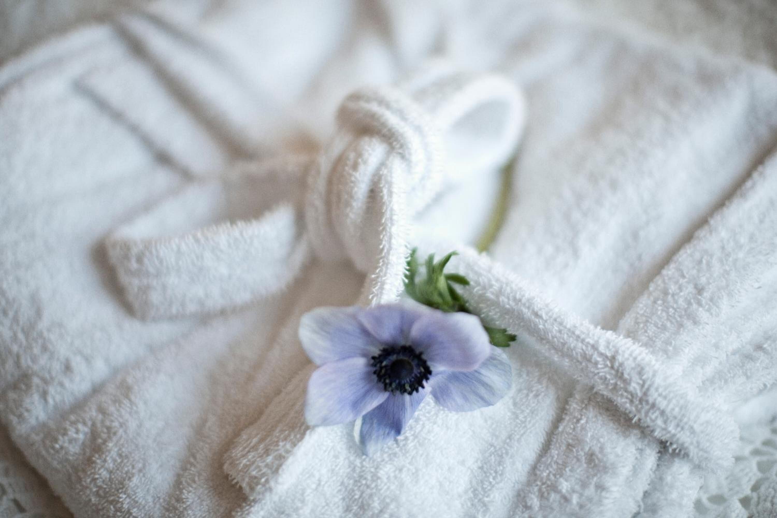 shower, free toiletries, hair dryer, dressing gowns