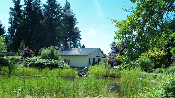 Ein Haus, umgeben von üppigem Grün und hohen Bäumen.