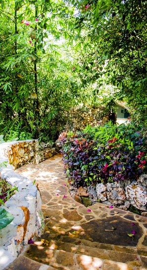 Exterior - Palumbo Kendwa (Kendwa)