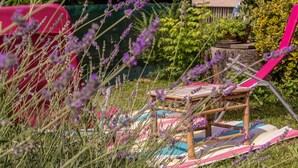 A garden area with a wooden chair and a picnic table surrounded by lavender plants. - Chambre d'hôtes Agnes et Olivier (Burlats)