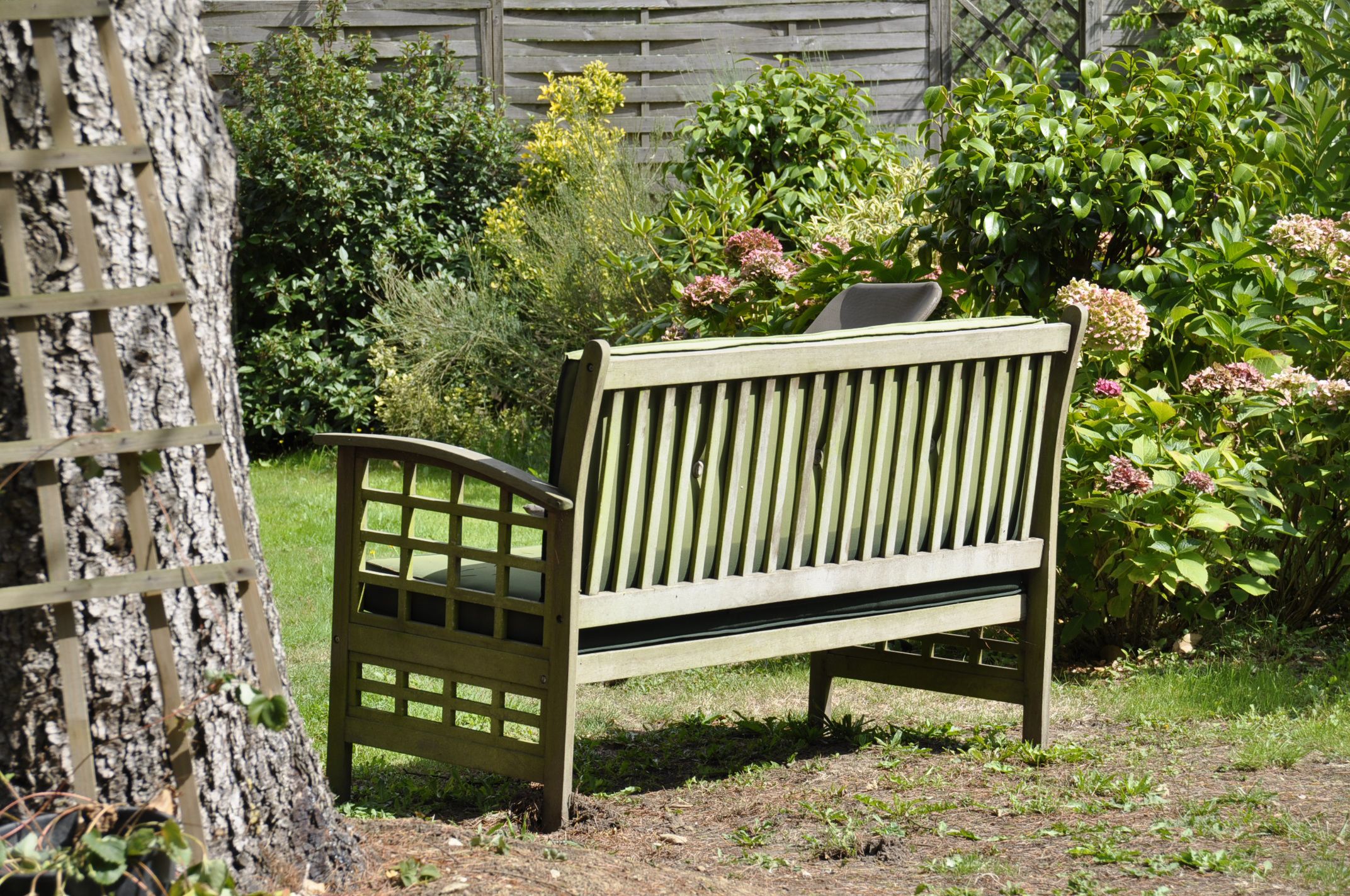 A wooden bench with slatted backrest and armrests, situated in a garden with various plants and a wooden fence in the background.