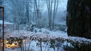 A snowy garden with bare trees and a large rock. - Au Jardin de Lisa (Cherré-Au)