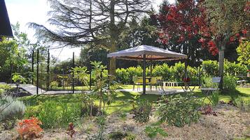 Um jardim com um gazebo, área de estar e diversas plantas.
