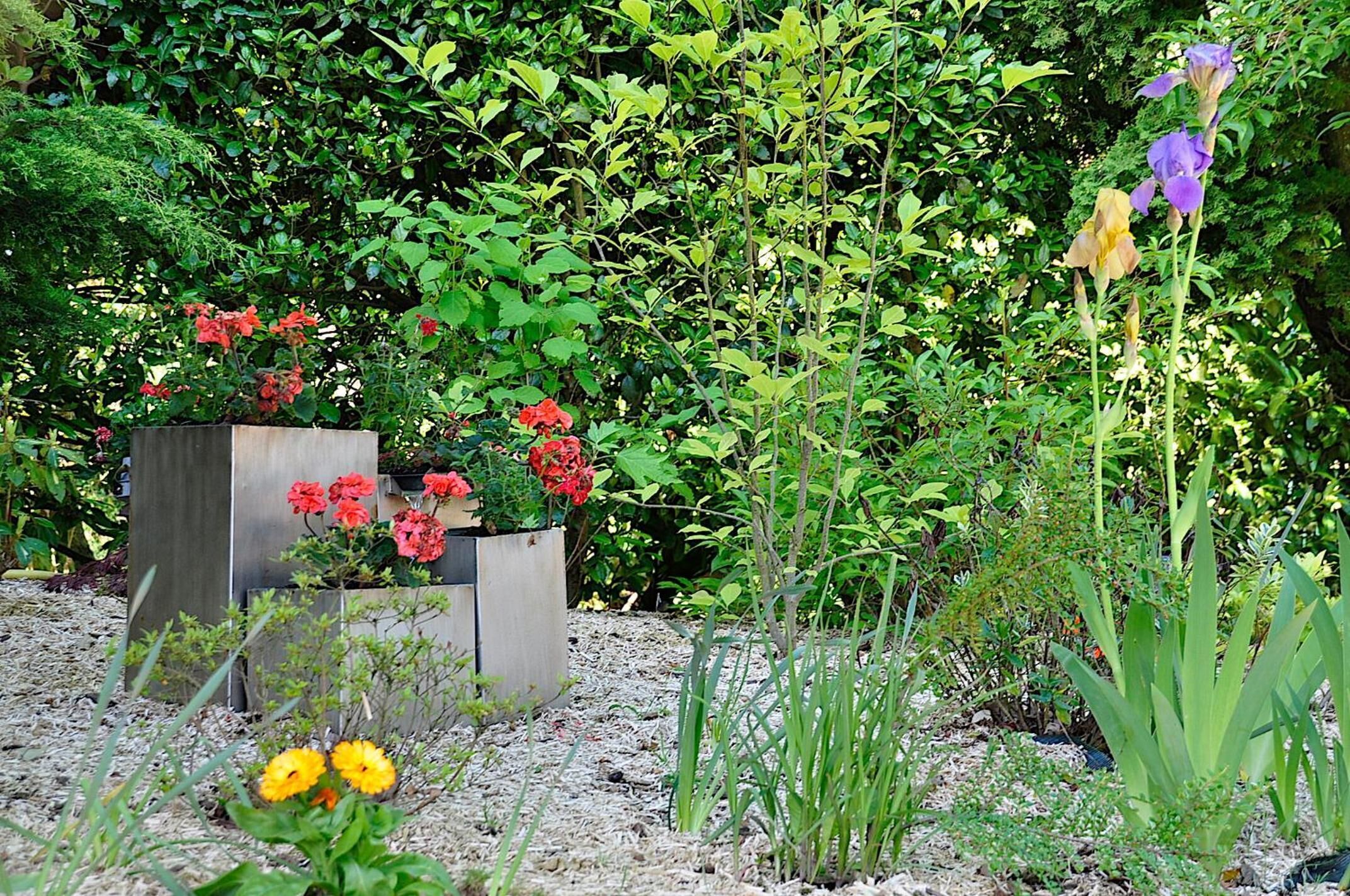 A garden with various plants and flowers, including red and yellow blooms, and a tall purple flower.