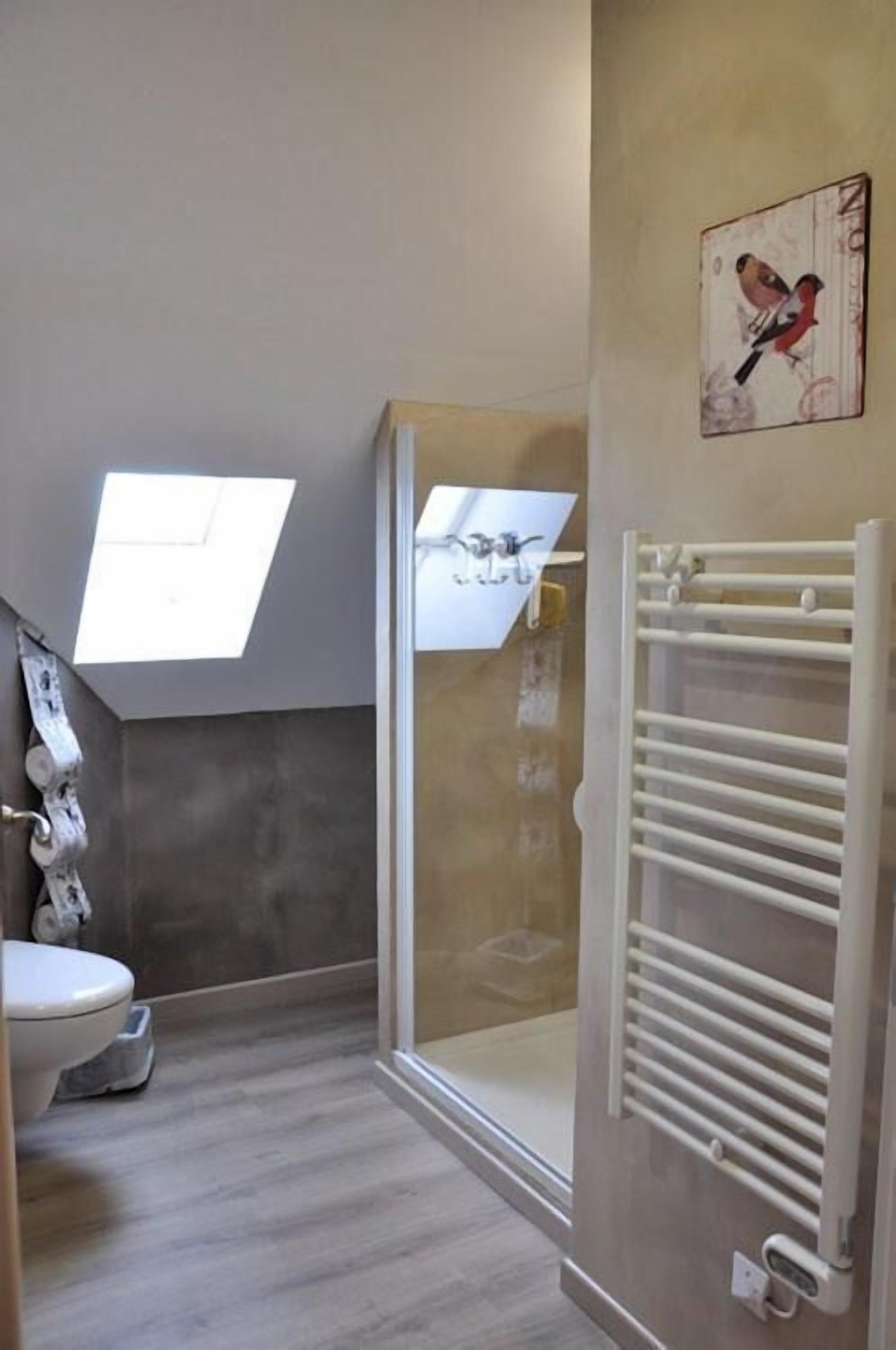 A bathroom with a skylight, a shower, a toilet, and a towel rack.