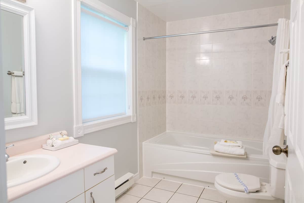 superior room, 1 king bed, non smoking (superior king room with kitchenette) | bathroom | hair dryer, towels, soap, shampoo