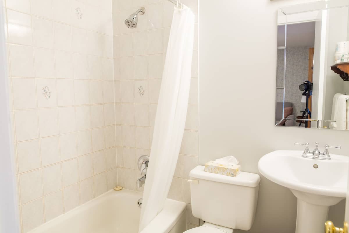 junior room, 1 king bed, non smoking (jr. suite) | bathroom | hair dryer, towels, soap, shampoo