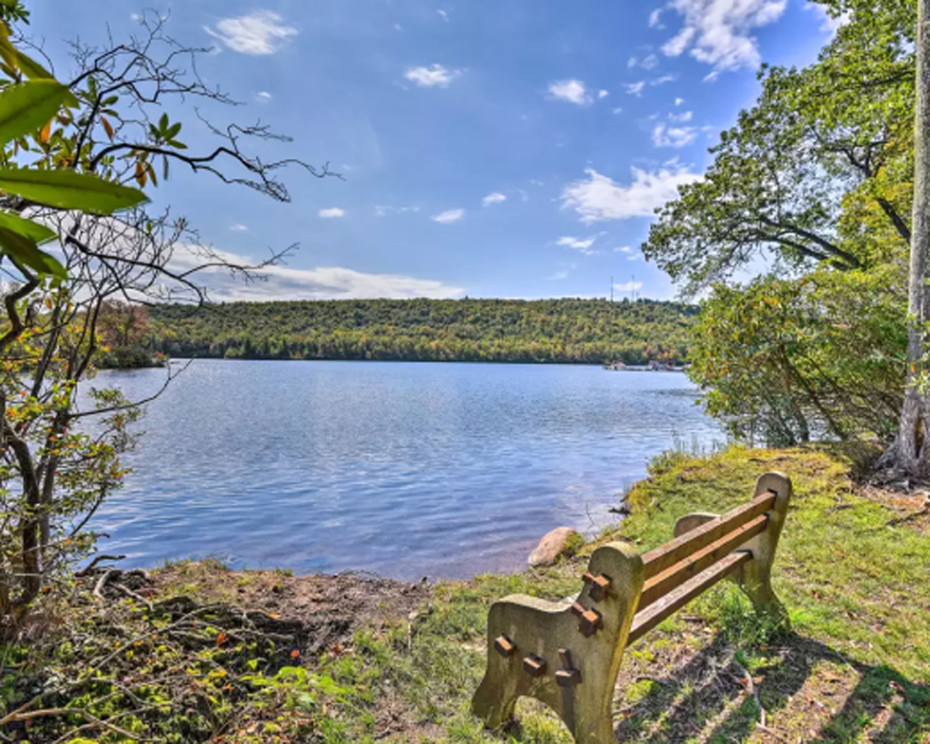A wooden bench by a lake with a forested shoreline.