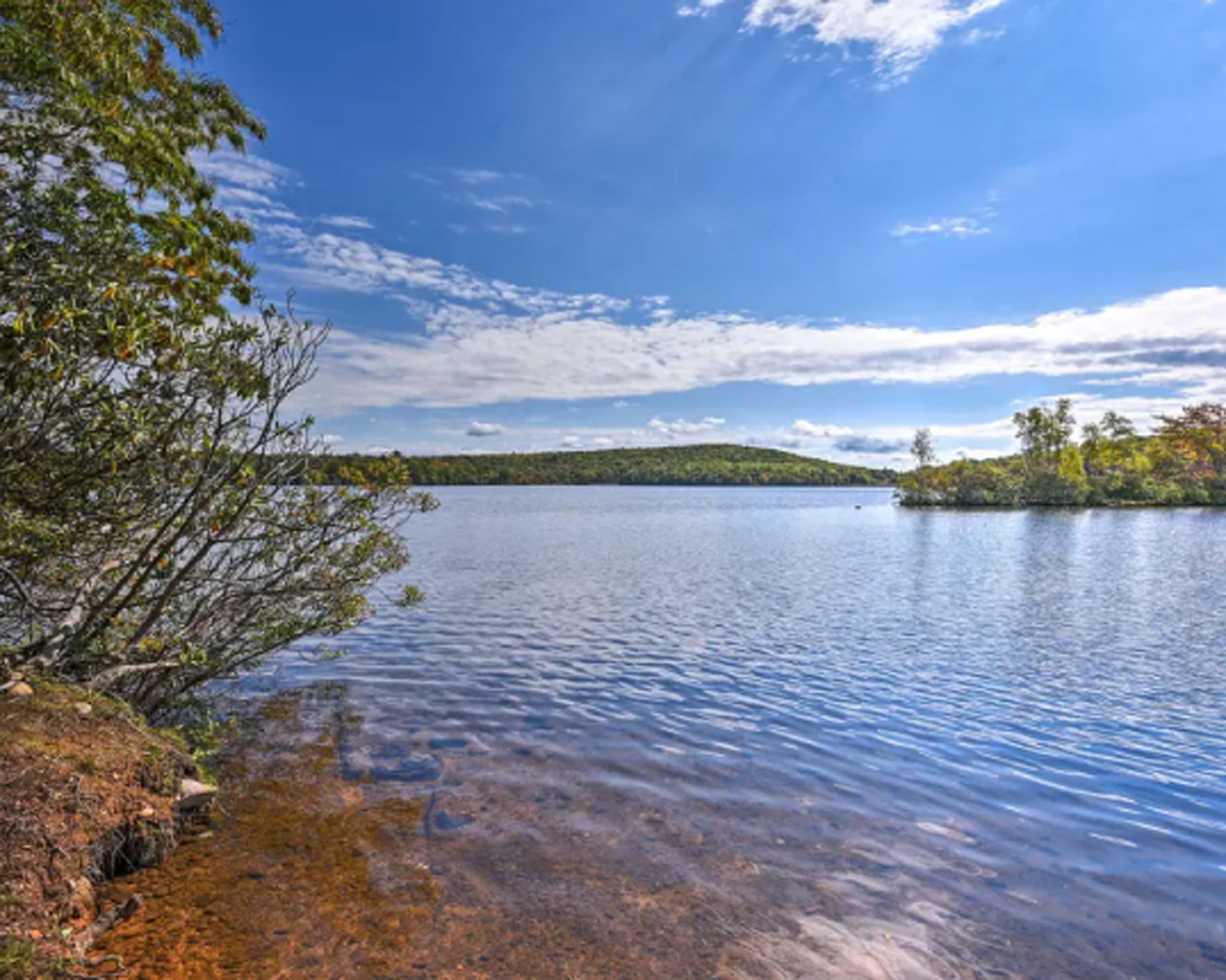 Un lago tranquilo con aguas cristalinas, rodeado de árboles y una colina distante.