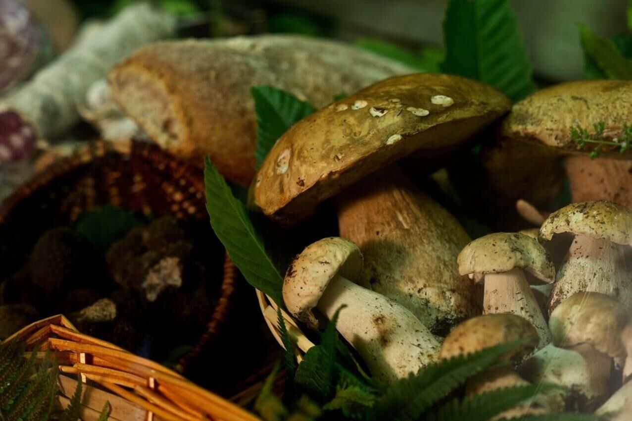 A variety of mushrooms and a woven basket.
