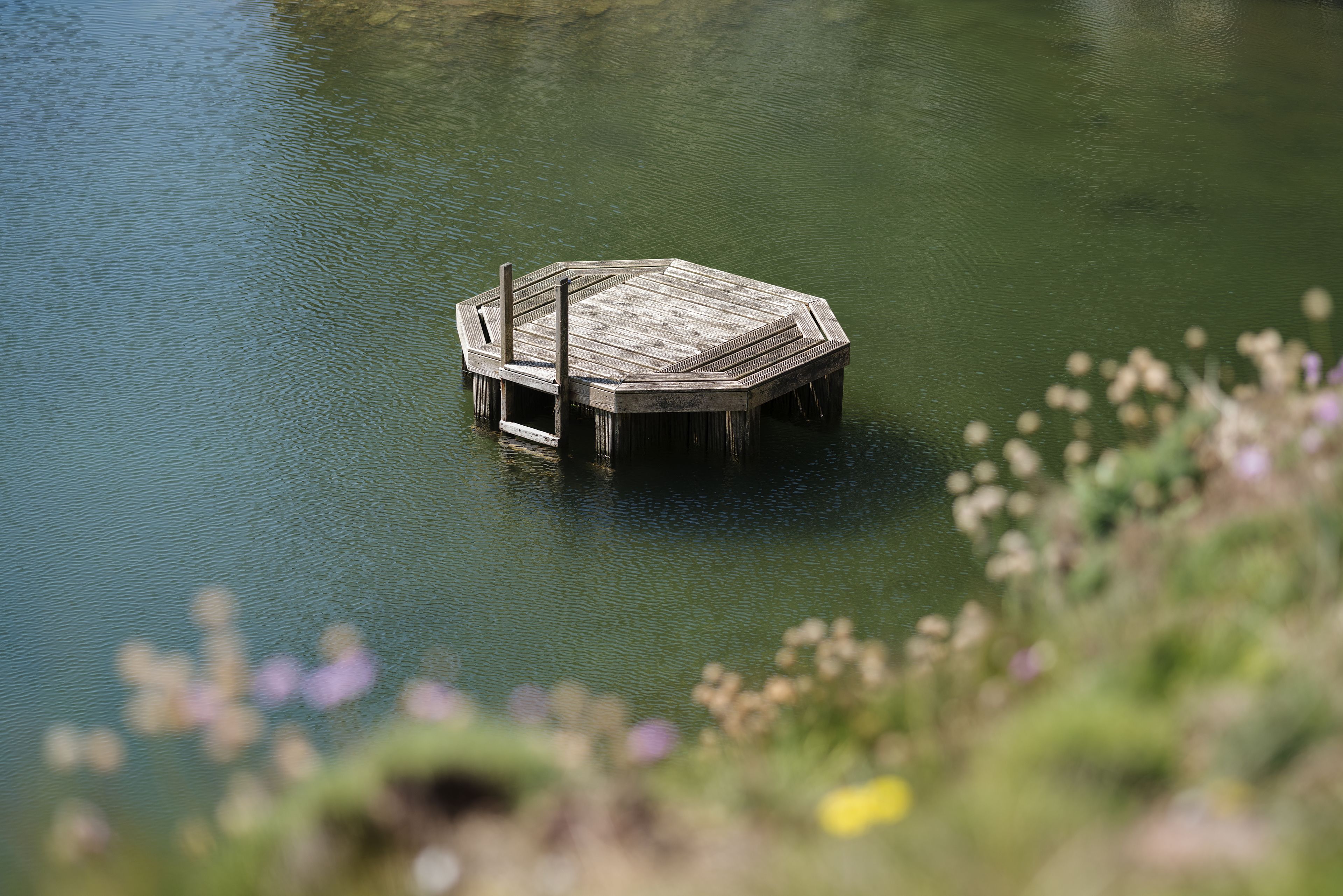 Un muelle de madera que se adentra en una superficie acuática tranquila.