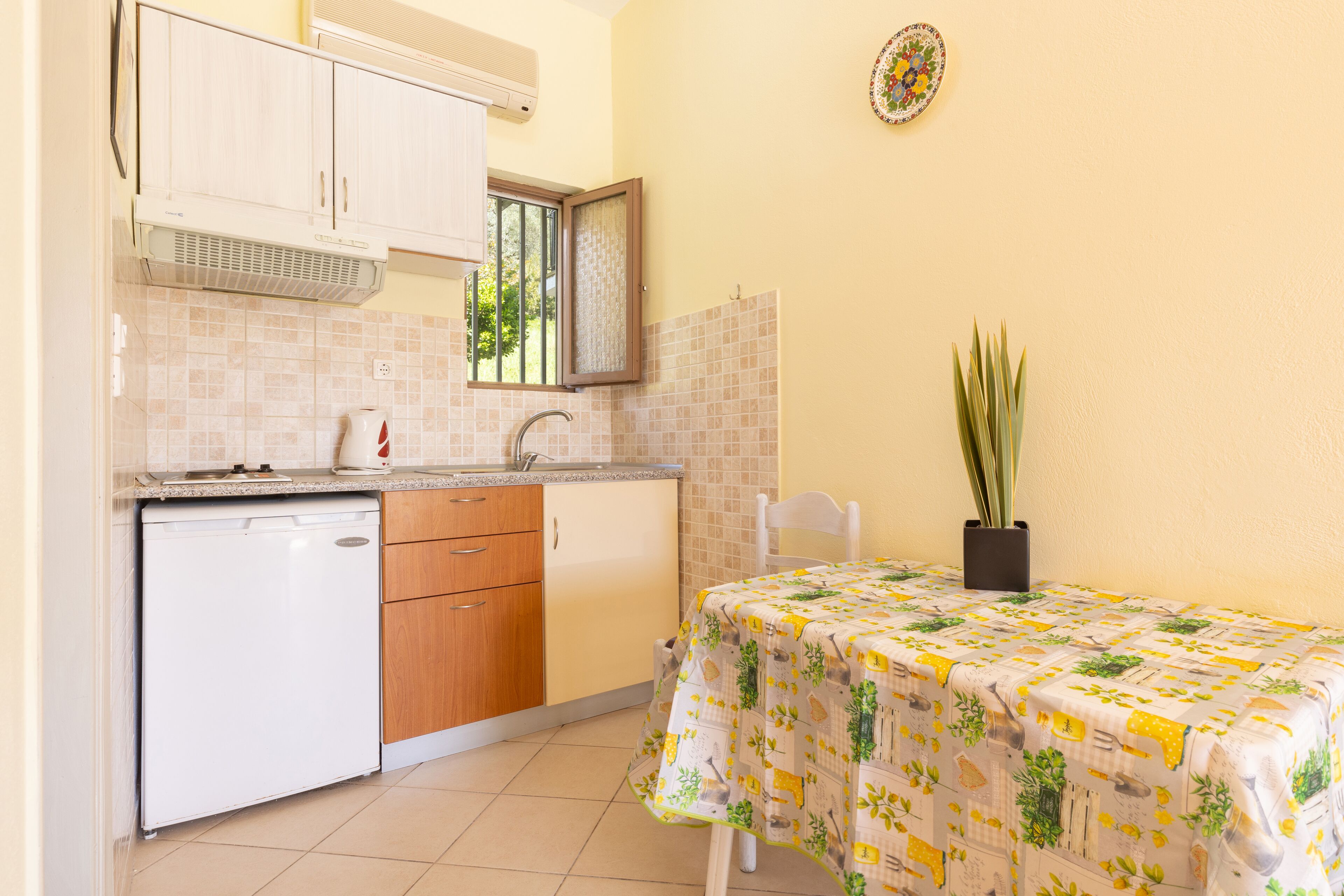 A compact kitchen with a dishwasher, wooden cabinets, a sink, and a window. There's a table with a tablecloth and a potted plant.