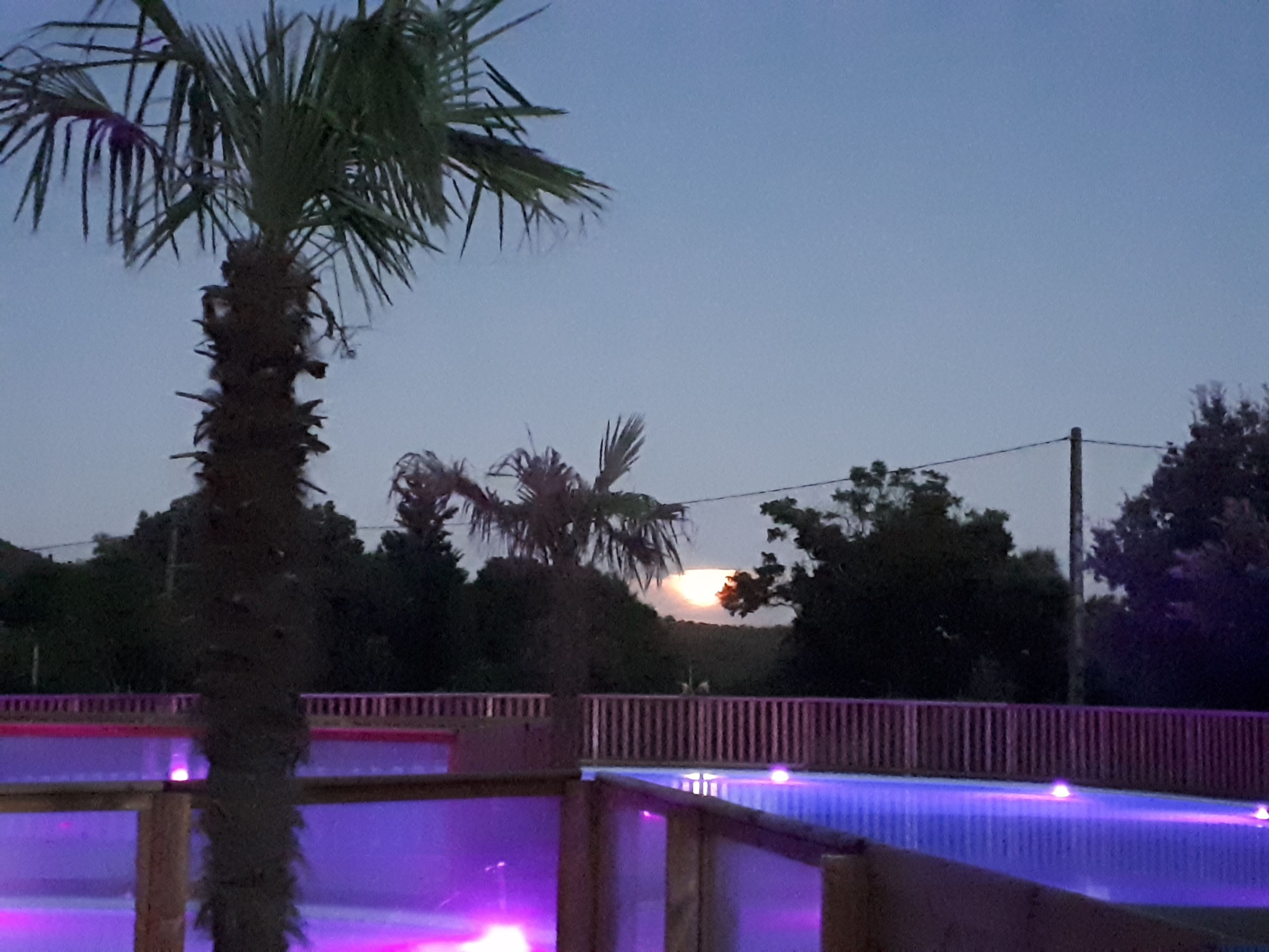 Vista nocturna de un área de piscina con una palmera y un atardecer al fondo.