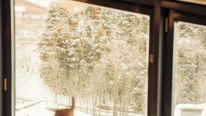 Una persona sentada junto a una ventana con vista a un paisaje nevado.