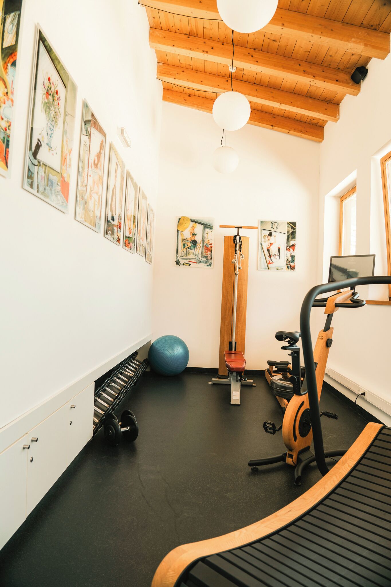 A gym with exercise equipment, a pull-up bar, and a blue exercise ball.