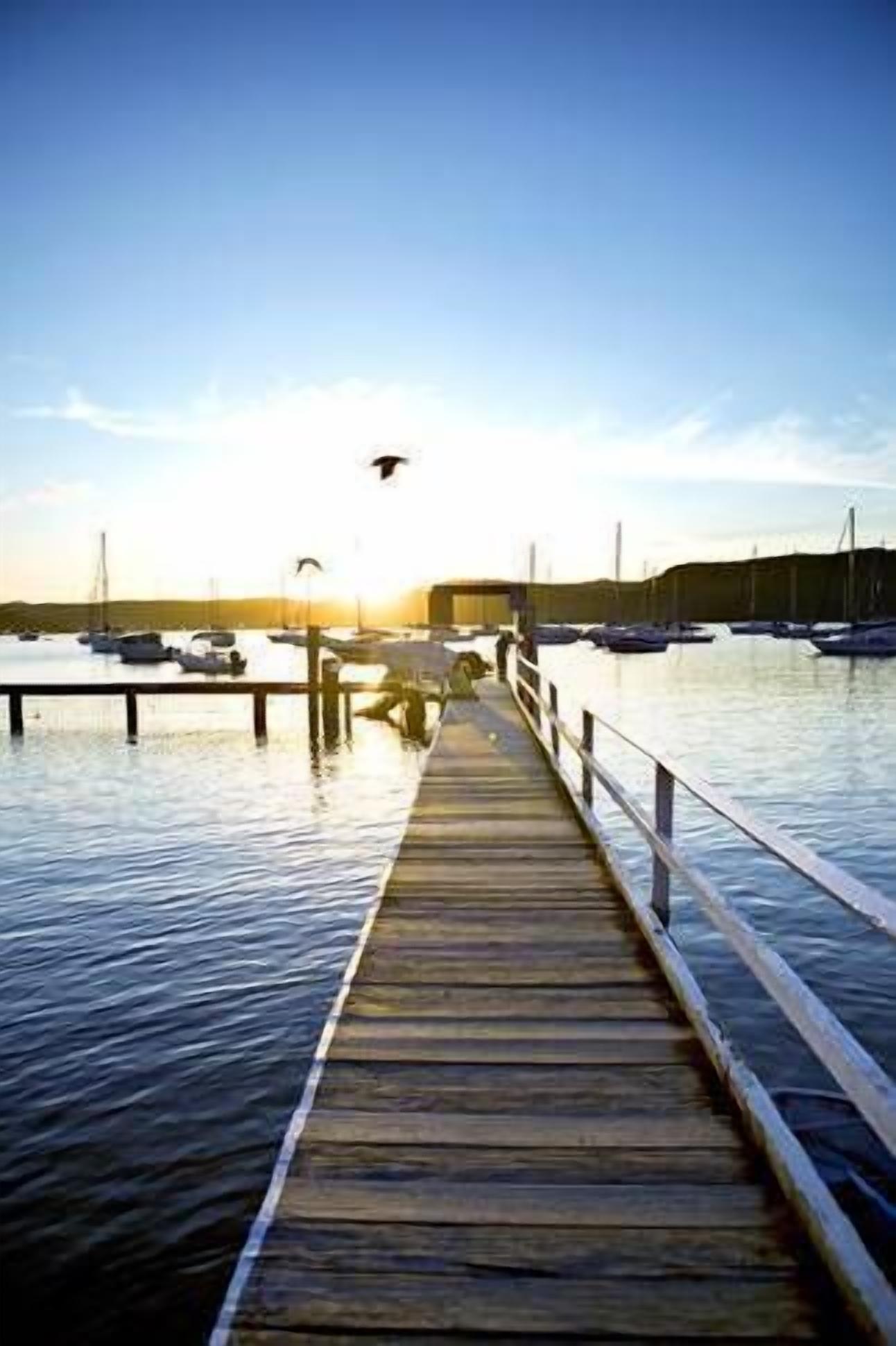 The Paradise Beach House — image 17