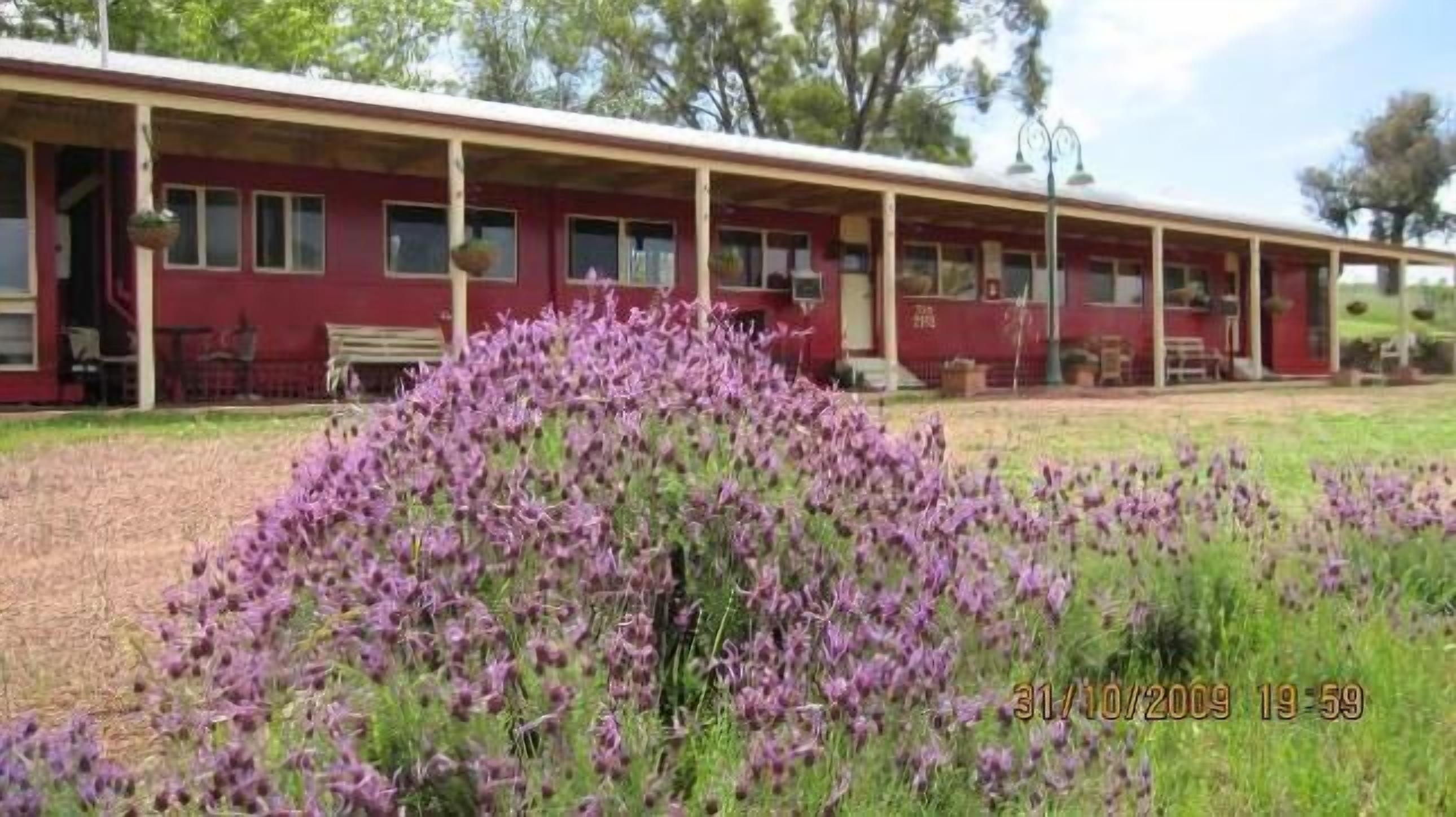Last Stop Ambledown Brook Train Carriage XBS 2162