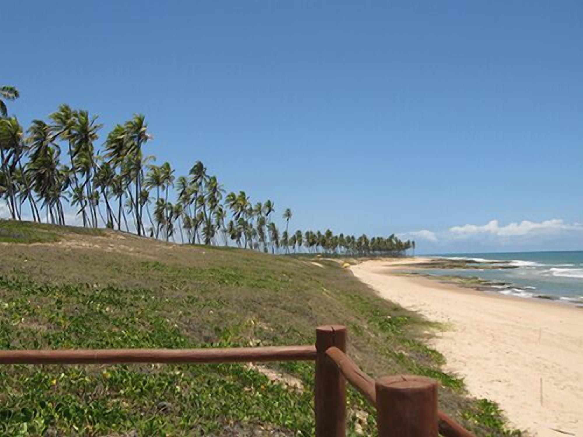 A la platja, gandules de platja i tovalloles de platja 