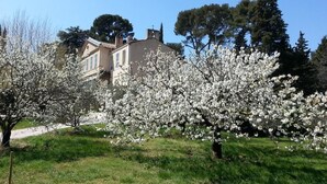 A house with a garden in front, surrounded by trees. - La Royante (Aubagne)