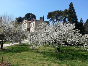 Garden - La Royante (Aubagne)