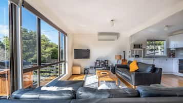 TV, video game console