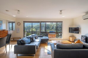 TV, video-game console