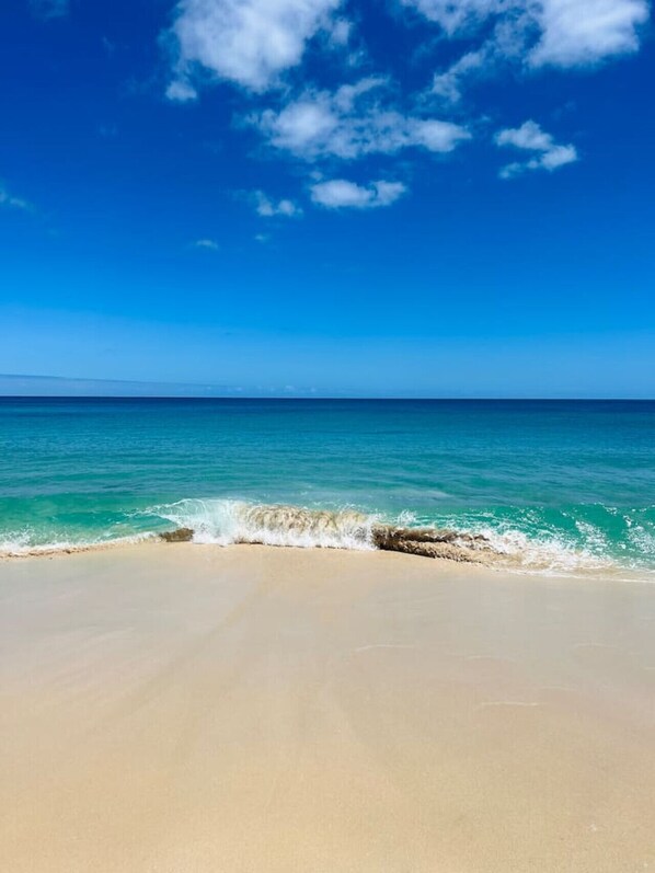 Playa en los alrededores y sombrillas