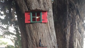 Une cabane dans les arbres avec un toit rouge et une porte verte, portant l’inscription « L’arbre magique aux confins du monde ».