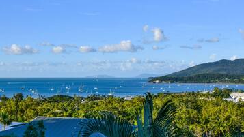 Vista dalla struttura