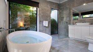 Combined shower/bathtub, hair dryer, towels