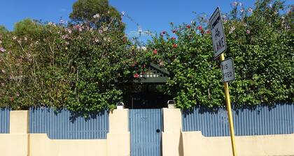 Star Mogano - Fremantle