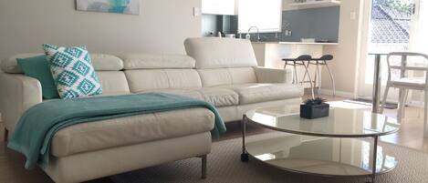 TV, DVD player, video library, stereo