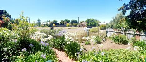 Área da propriedade