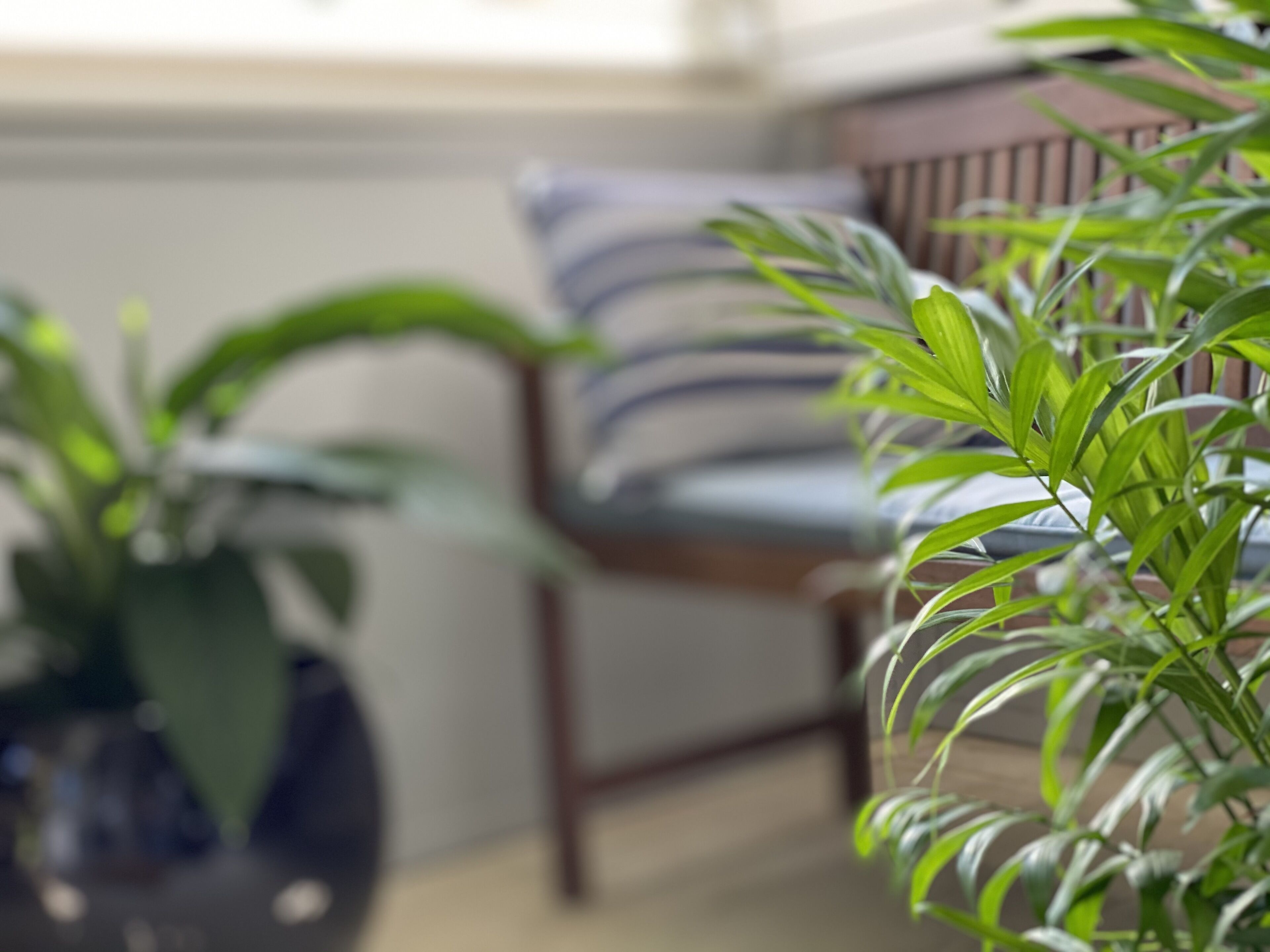  Avalon Beach Break is a Romantic airconditioned getaway100 meters to the beach! — image 6