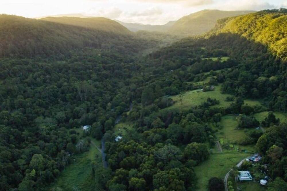 Byron Hinterland \/ Mountain Rainforest \/ Permaculture Farm - Pet Friendly!