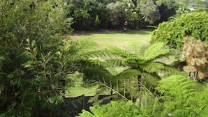 A lush garden with dense foliage and a clear view of the ocean. - STRATHMORE LODGE  UNIT 1. UPPER LEVEL. Spectacular views of Lighthouse Beach. (Port Macquarie)