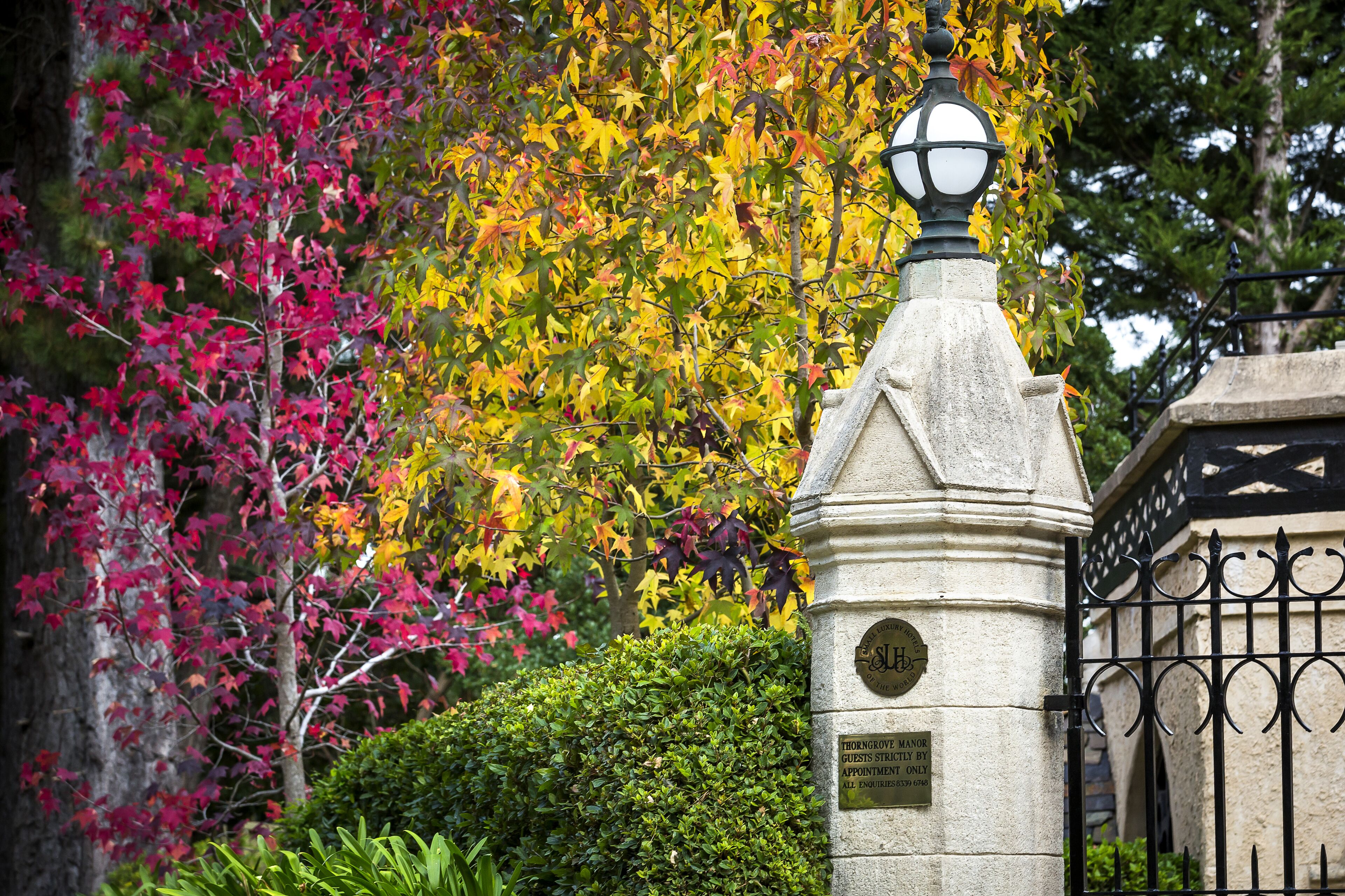 Thorngrove Manor House — image 27